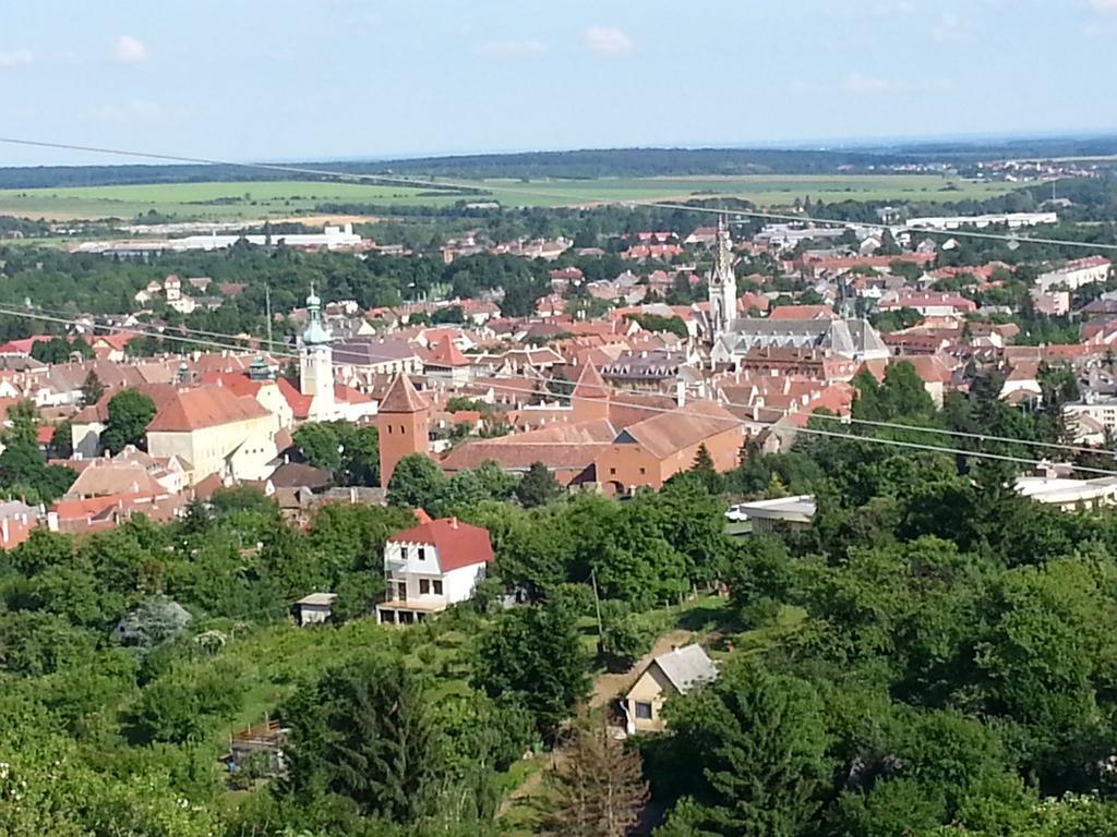 Borostyán Apartamento Kőszeg