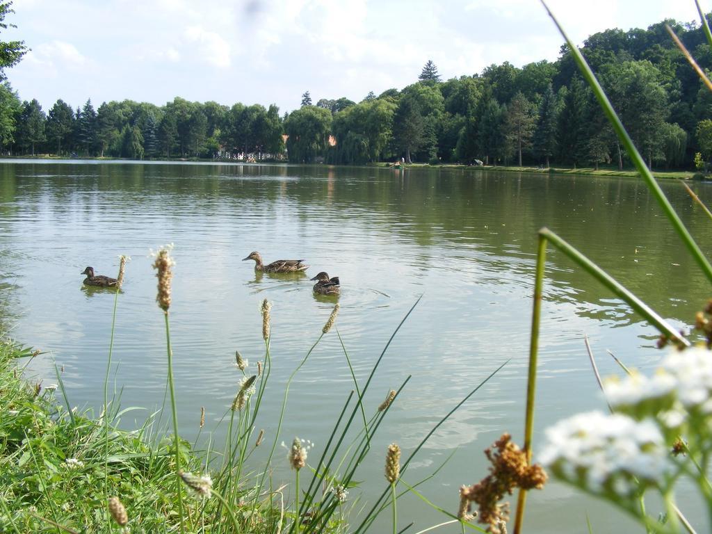 Apartamento Borostyán Kőszeg
